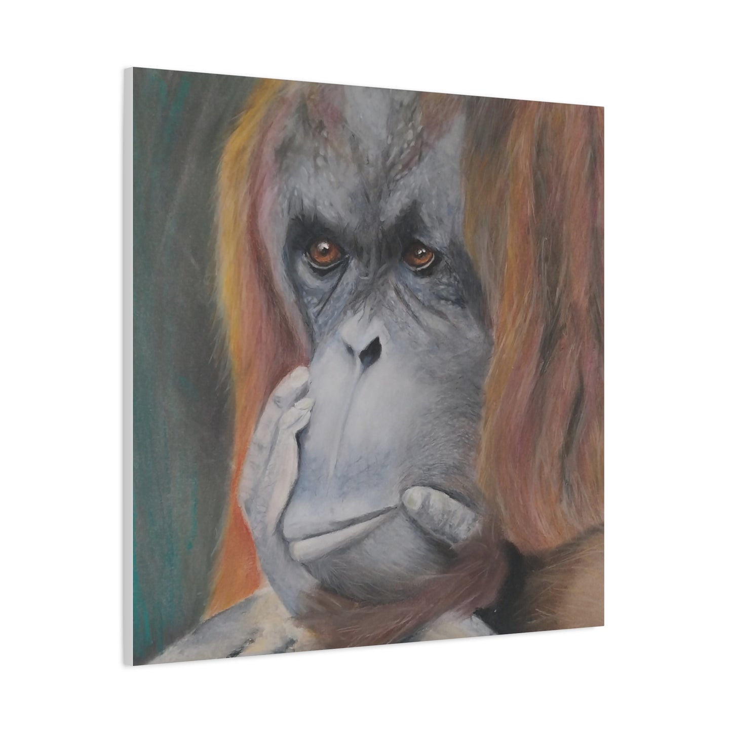 Canvas Print - Thoughtful Orangutan