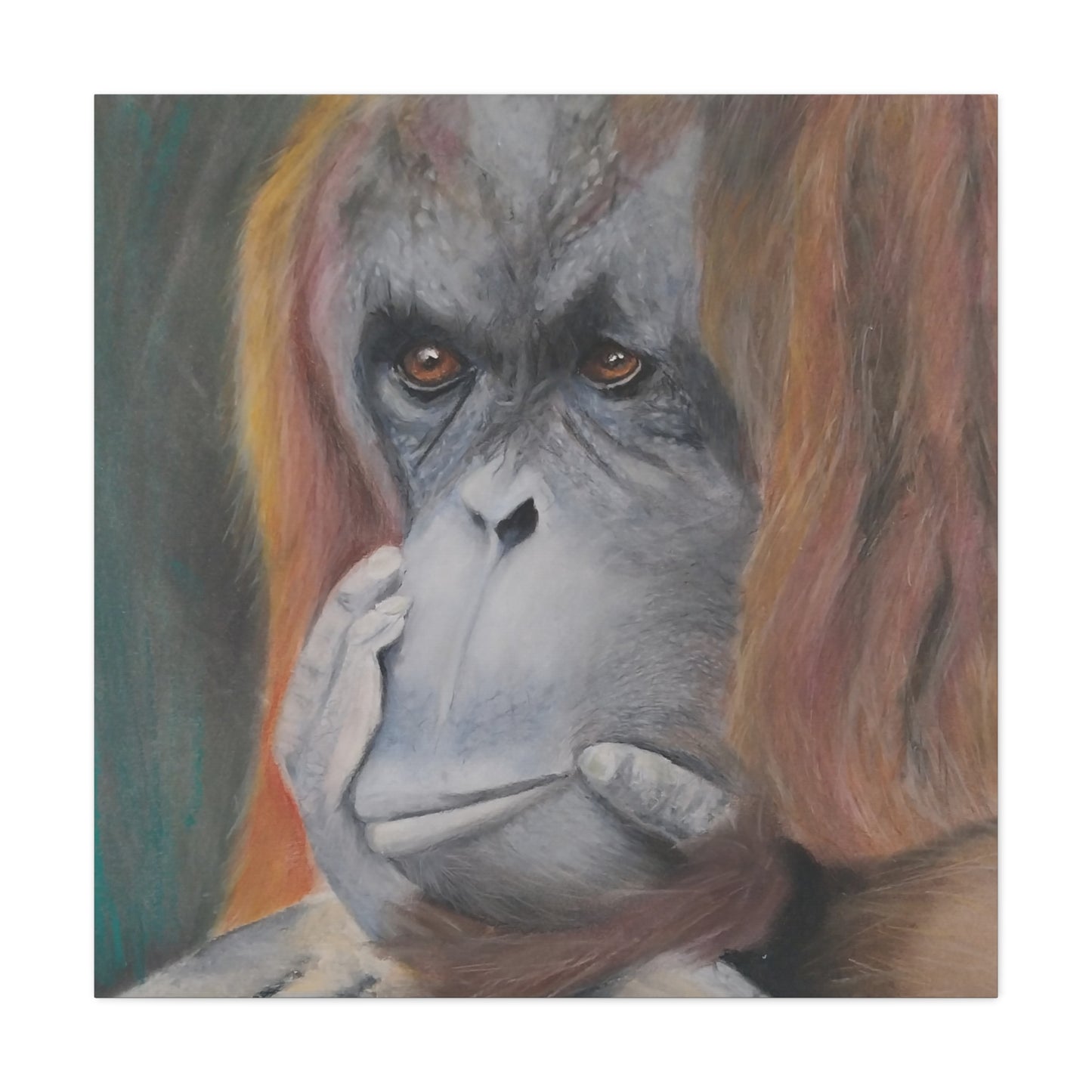 Canvas Print - Thoughtful Orangutan