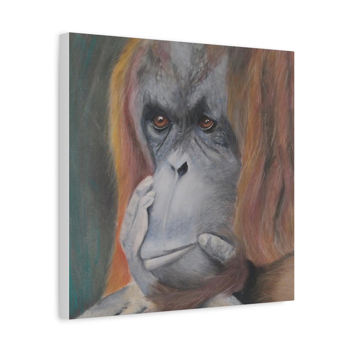 Canvas Print - Thoughtful Orangutan