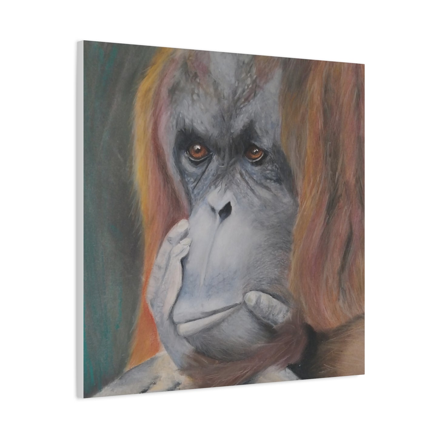 Canvas Print - Thoughtful Orangutan